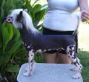 Kalan's Pretty Boy Floyd