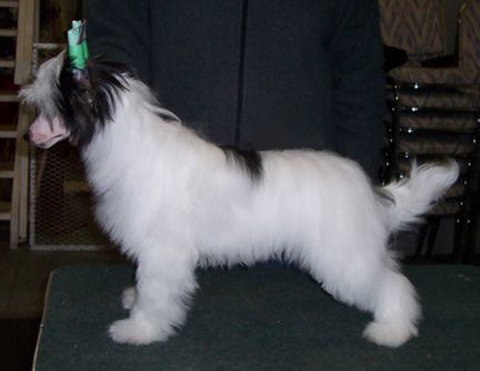 Rompford Resident Evil