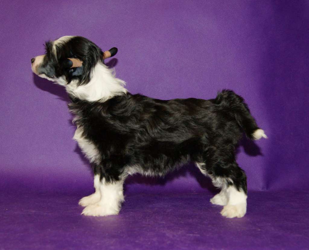 Miniatura Club Karmen