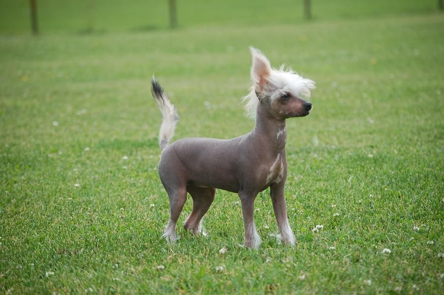 Pinky Twinky Hips Don't Lie