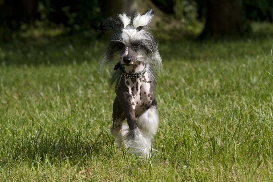 Subway Empire of Stars