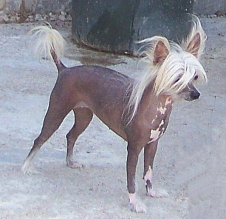 Rockyridge Is Lucky For Jonbrecy