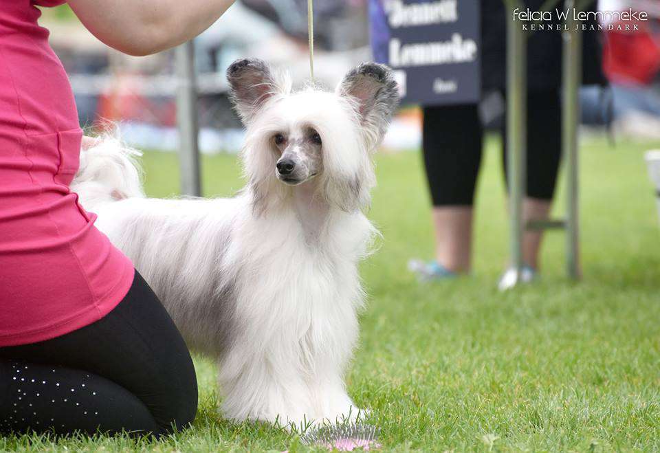 Tapi-Tapi Glamour KenManuel