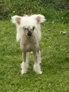 Kimissa Itza Anna Lusion