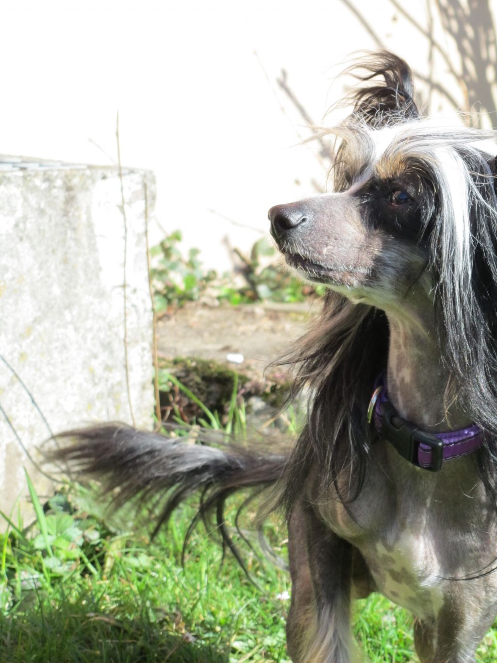 Angel Look Dance With Girls