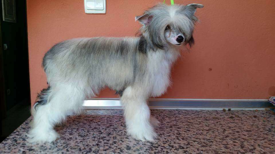 Sweet Rapunzel loveland fantasy