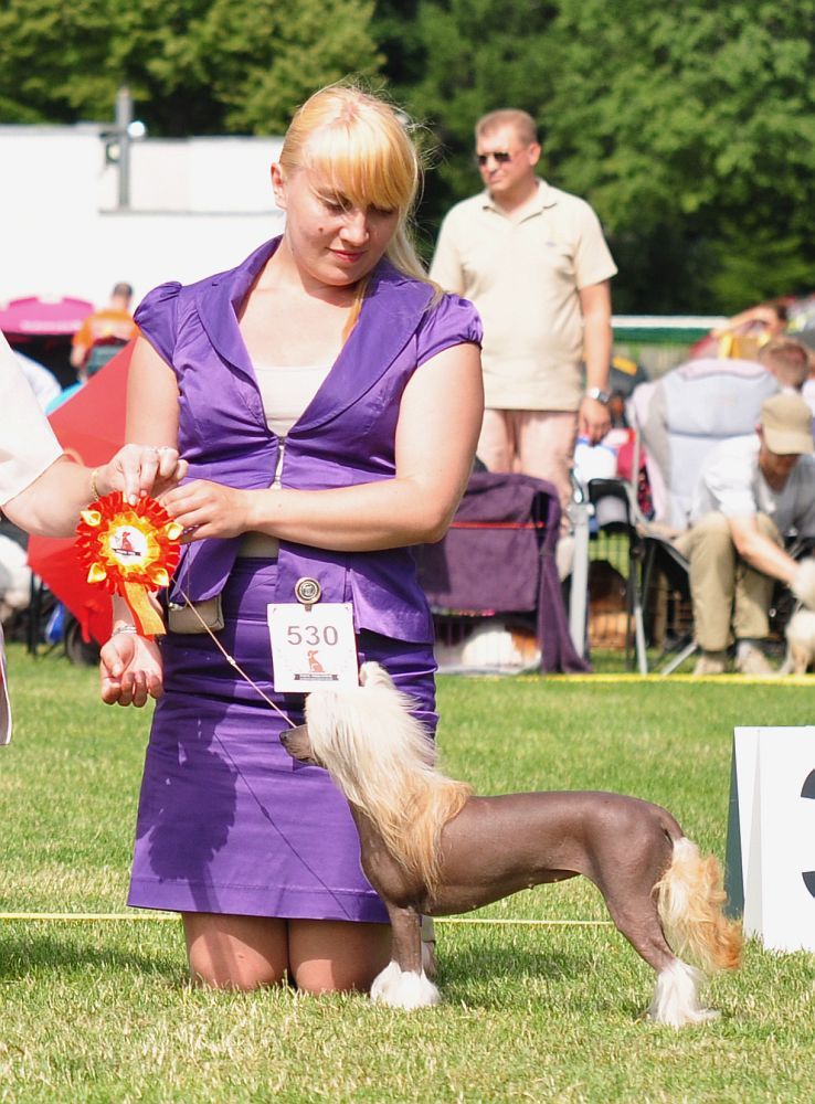 Royalette's Bionic Woman