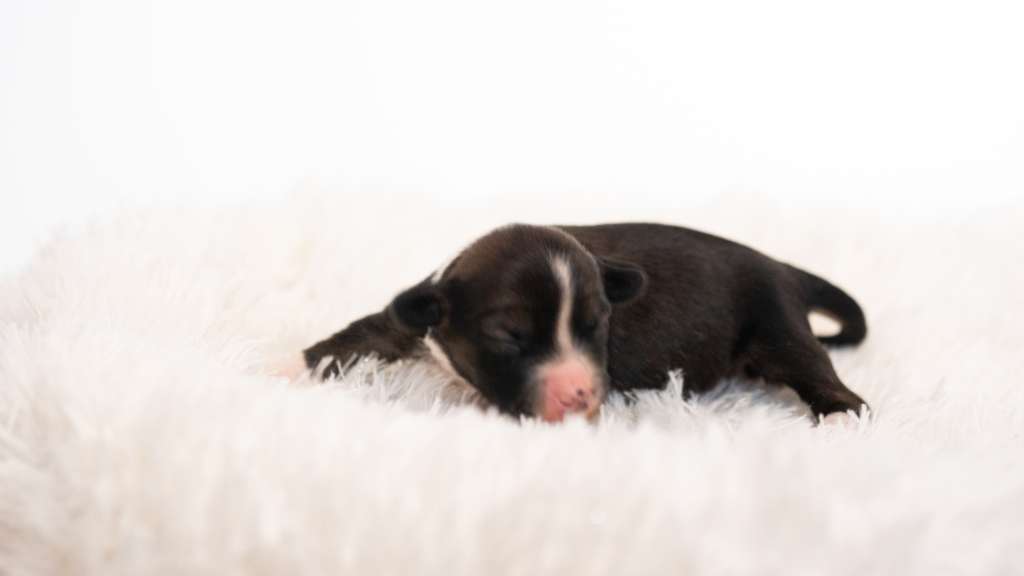 Omg I Am Super Star Modern Family