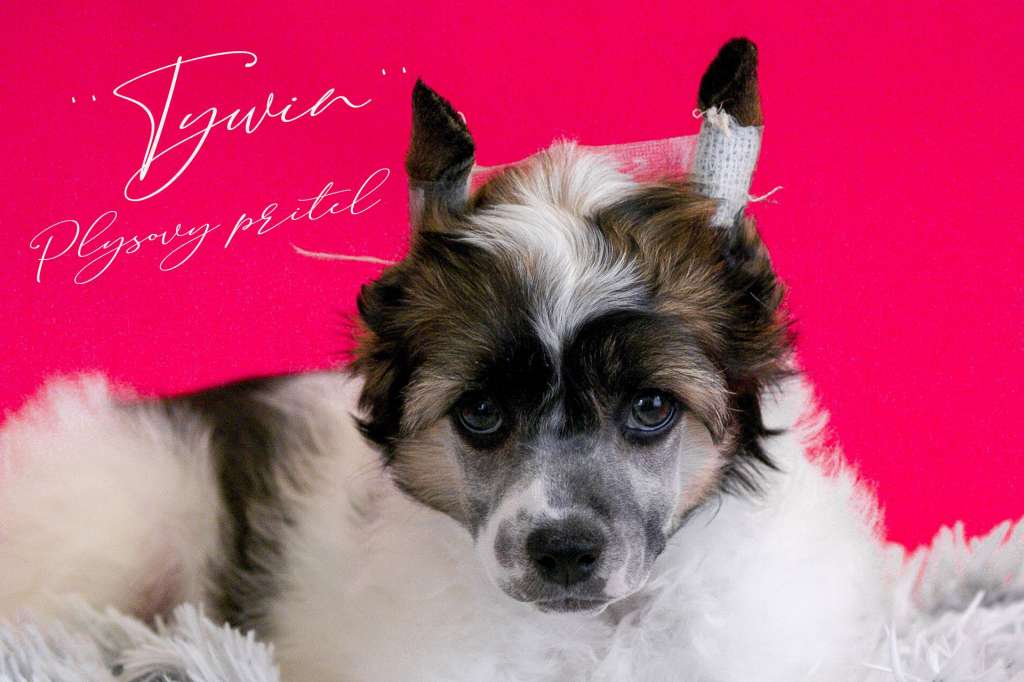 King's Landing Plysovy pritel