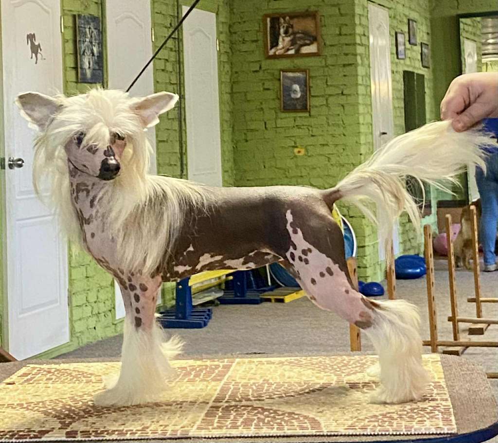 Margarita Pearl Minodora