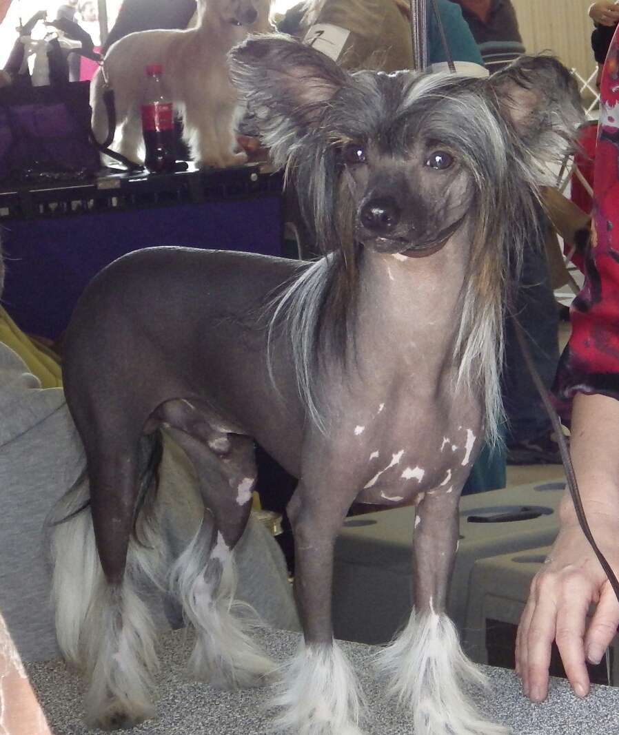 Altacrest's Waves Of Memories