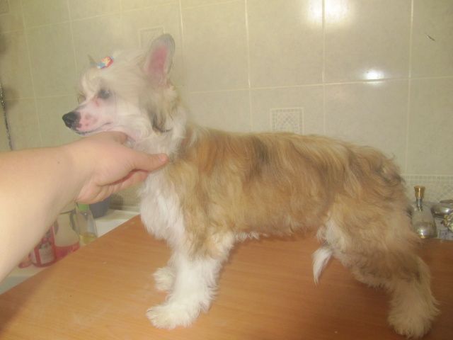 Breath of Spring Alayda