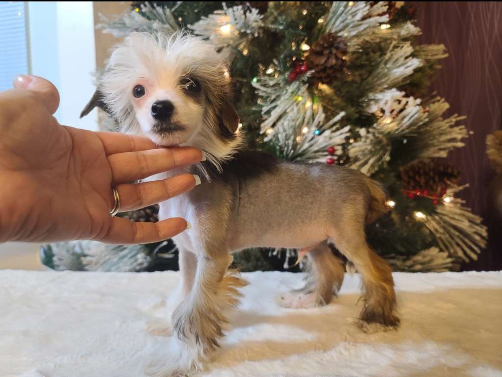 Long Haul's What's On 2nd