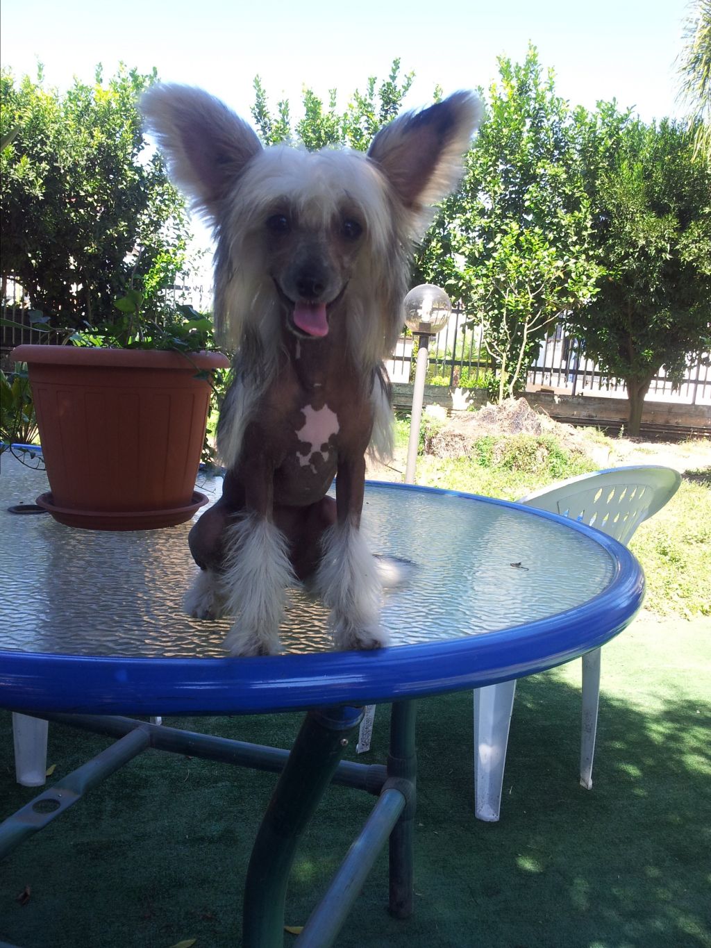 Zocha Carlotta Miracolo Dell'anima