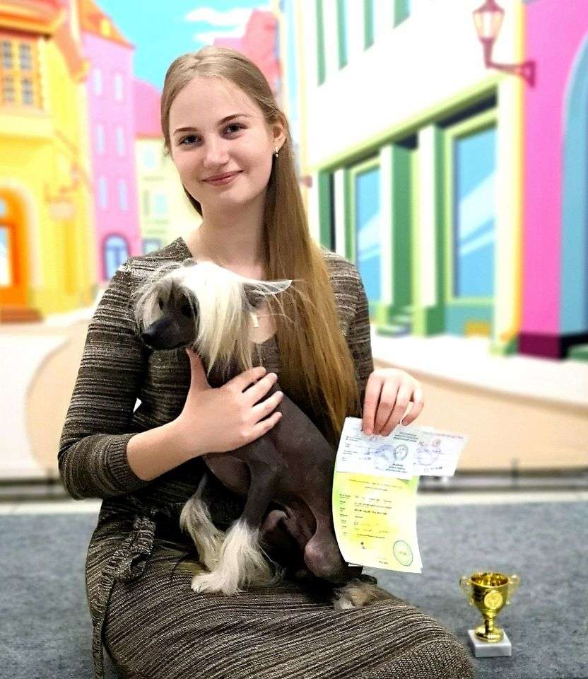 Show Galaktika Bester