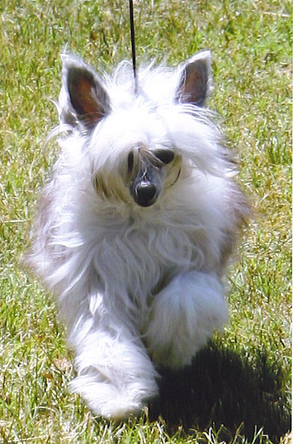 Kalon's Jewel of d' Nile