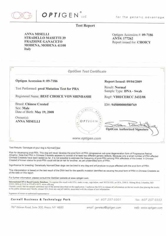 Best Choice von Shinbashi