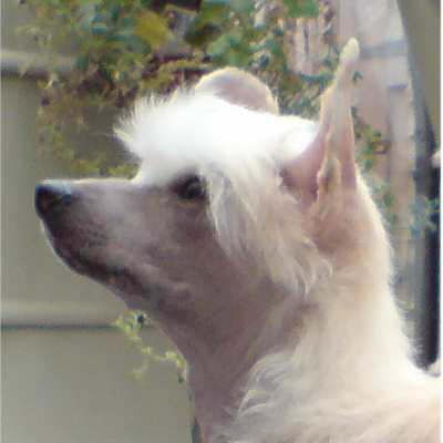 Habiba Take The High Road to Kevranna