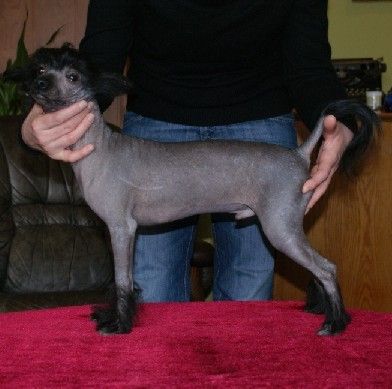 Exclusive Rustica Rubra