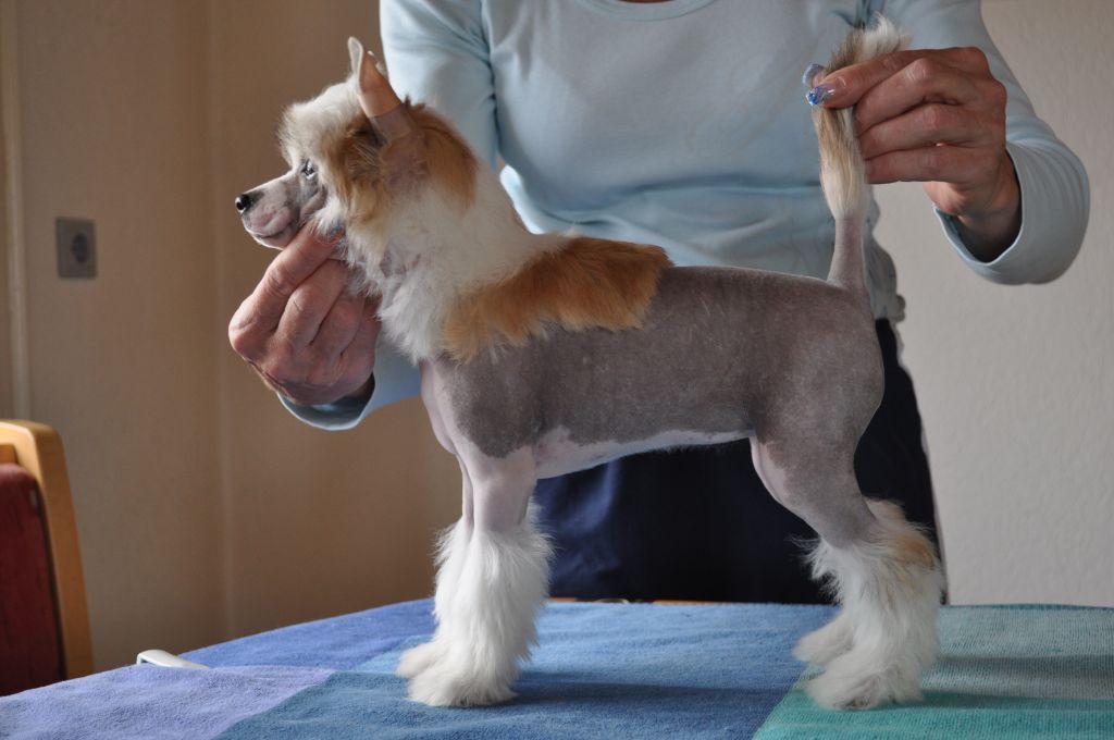 Bubbling Spirit Burberry