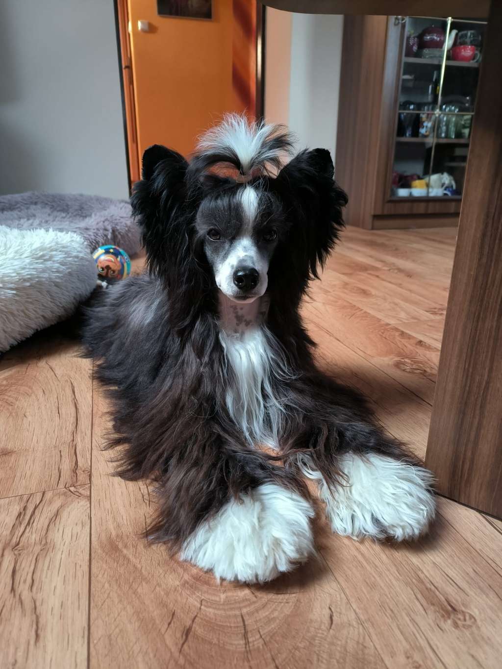 Pandora's Secret Avokaduh