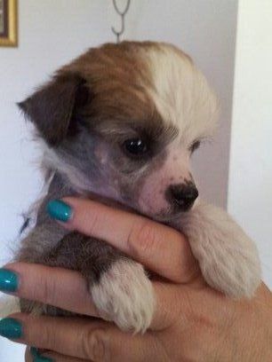 Xioma Set Fire To The Stars