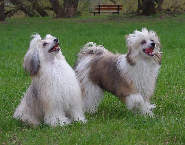 Secret Zatancz ze Mna