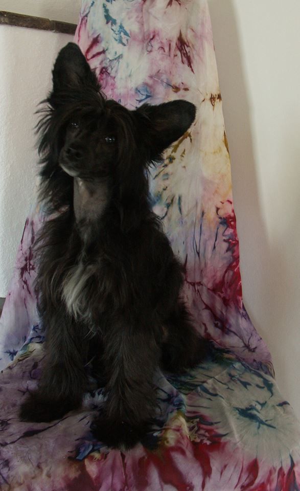 Amantai von Panaluna