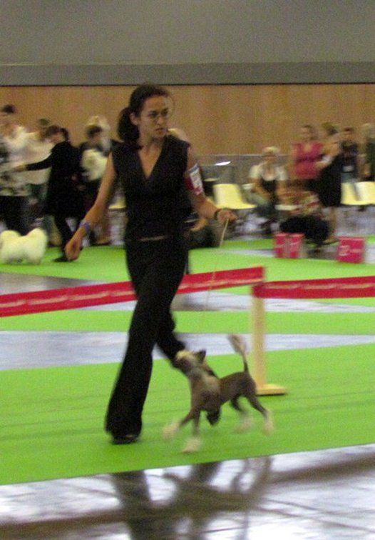 Jealousy Top Model De Rama