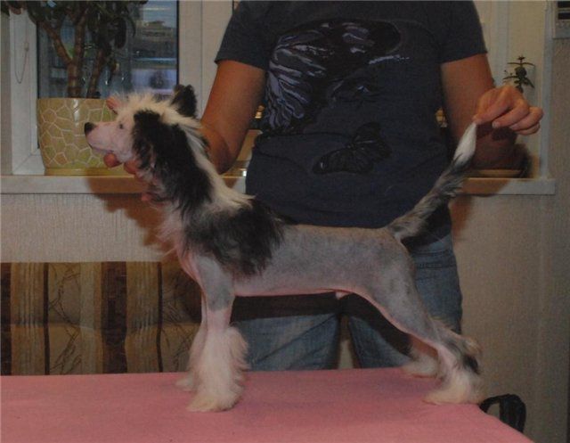 My Lucky Love What I Want