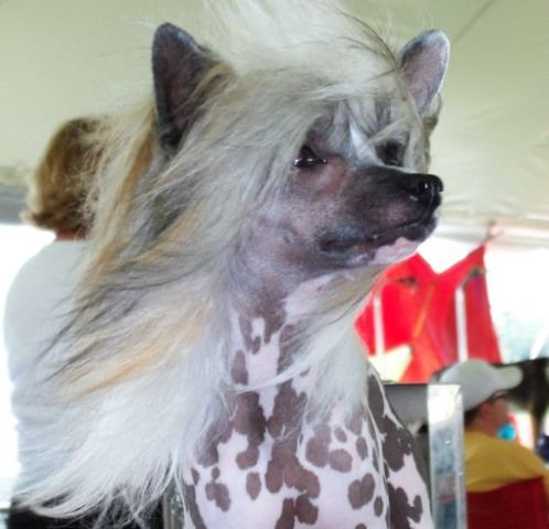 MTO N' Wickhaven Heaven Help Us