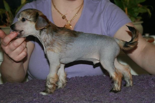 Absolute Magic's Extra Extra