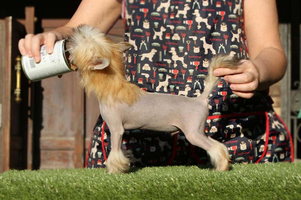 Incanto Del Mondo Gussi Rush