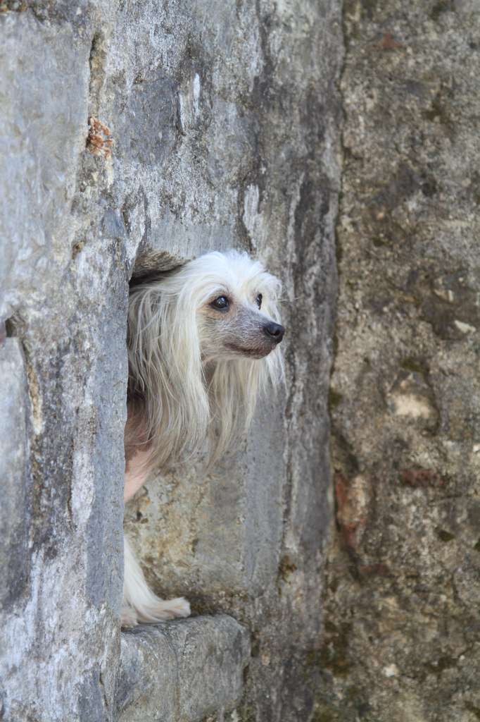 Kristal Yaniry Brioni