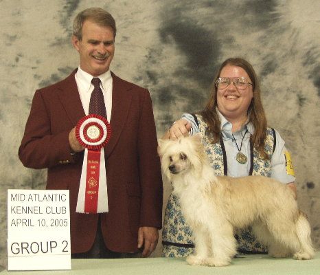 Phoenix's Sassafrass Tea