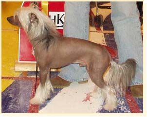 Noon's First Of Presley