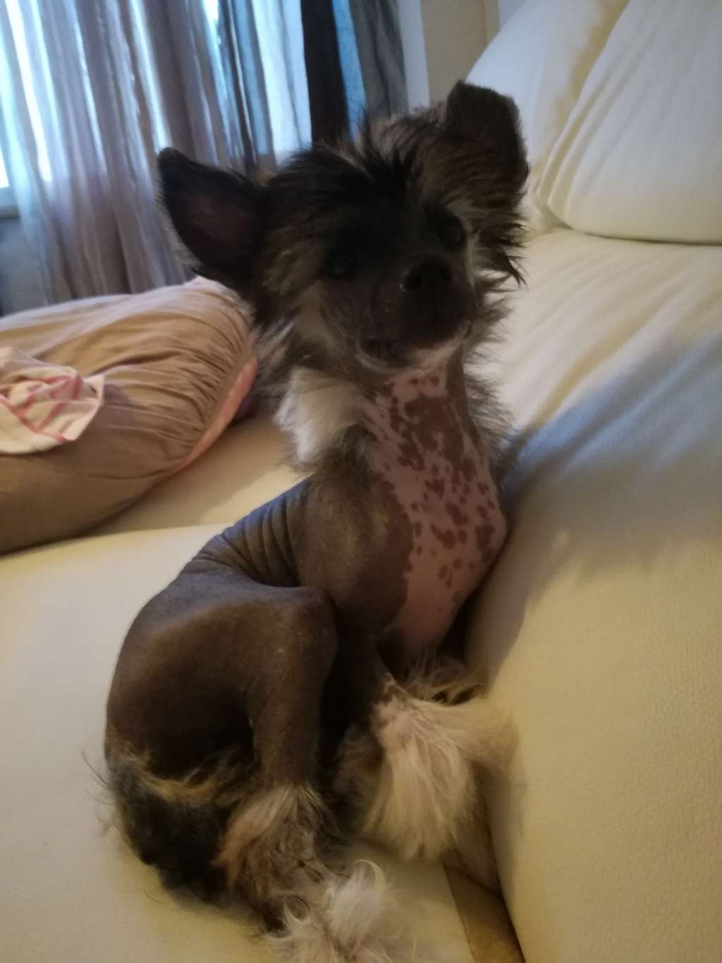 Moonlight Sonata of Nishapur