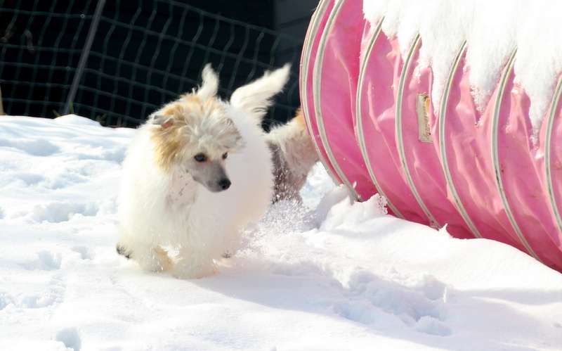 Solino's Ready Steady Glow