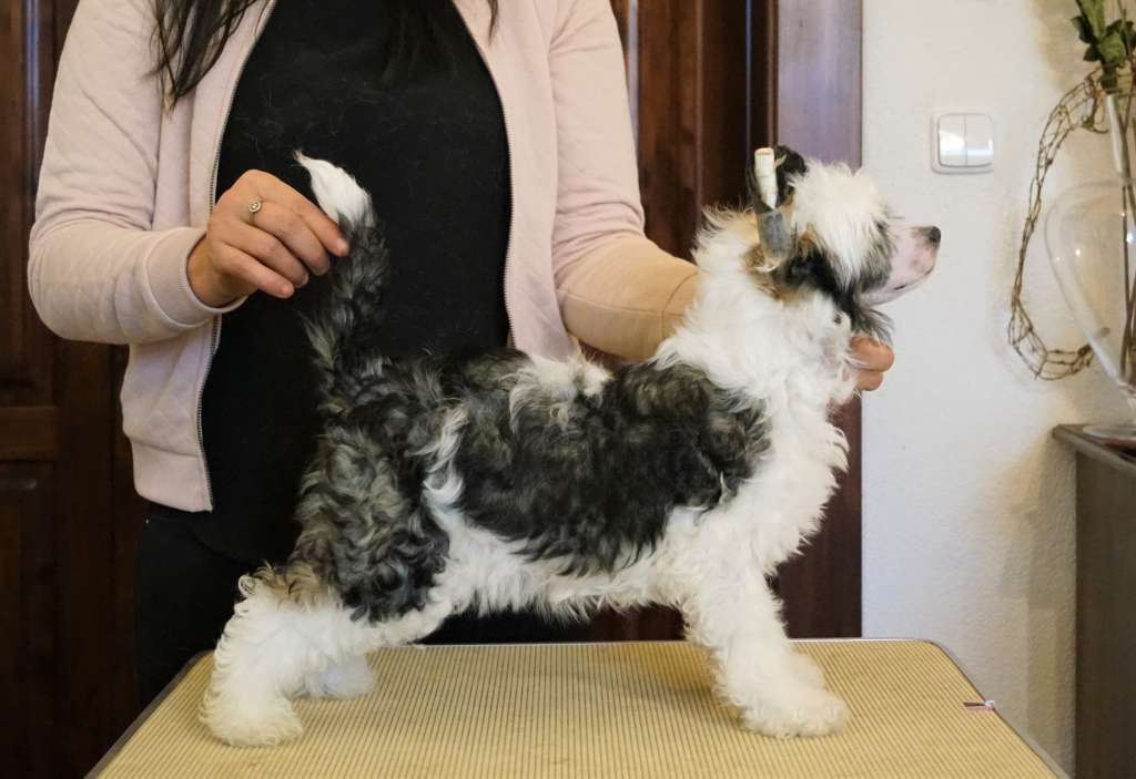 I am Beautiful Z Valdorfskych lesu