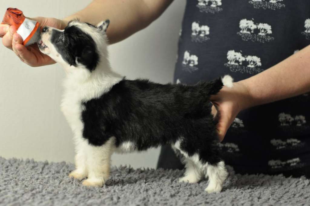 Speechless Beauty And A Beat