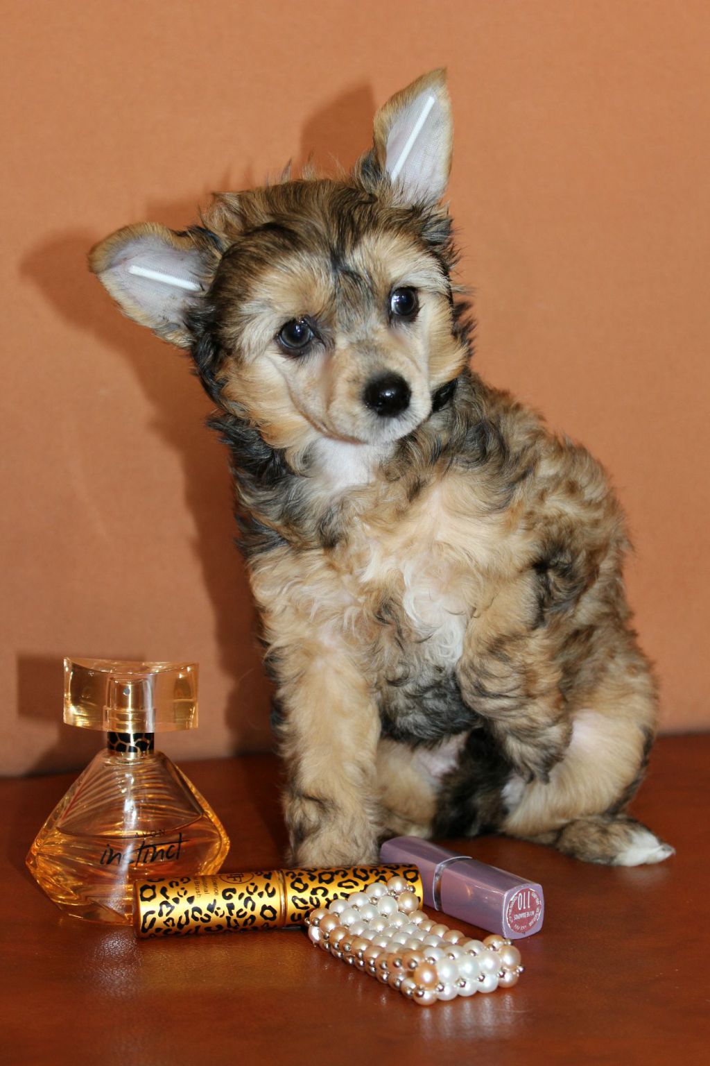 Iris Dea Miracolo Dell'anima