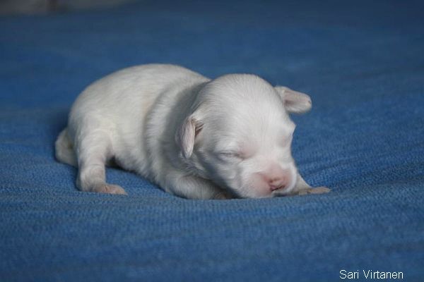 Crestwood Quiet In Court