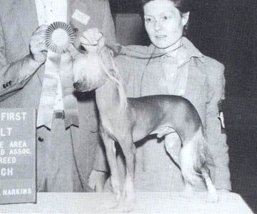 Razzmatazz Peppermint Twist