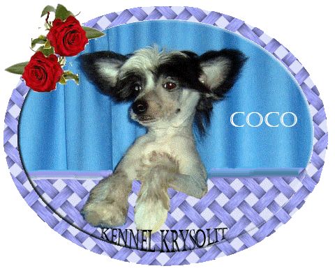 Krysolit CoCo Chanel