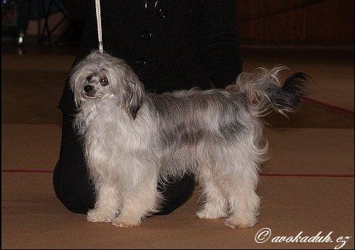 Barja z Mlynskeho dvora