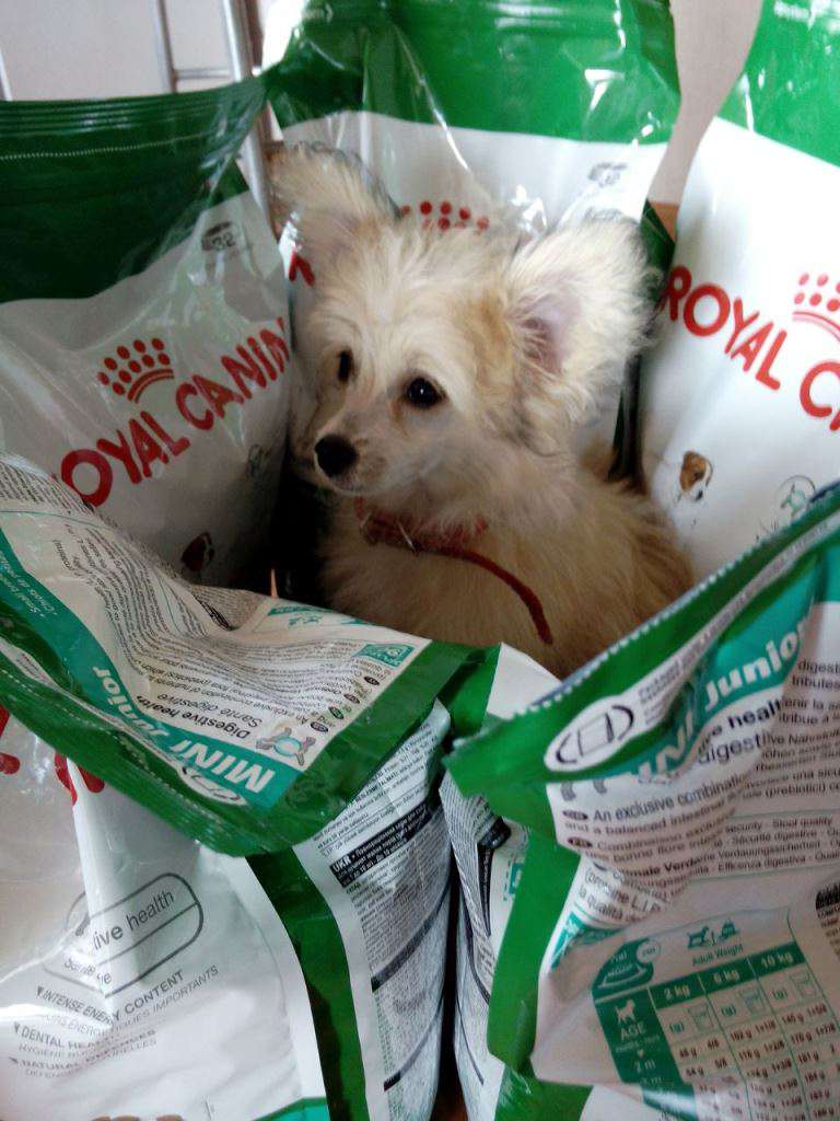 Karnelius Lana Del Rey