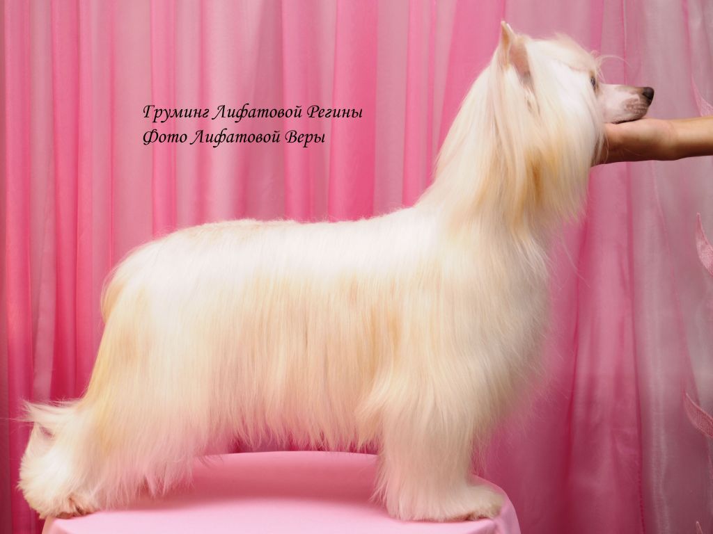 Alfa Laval Wishes Goldstar