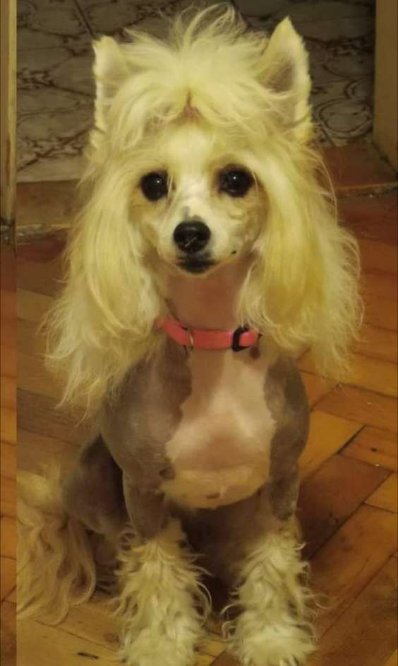 Bea Absolute Princess Laminacka