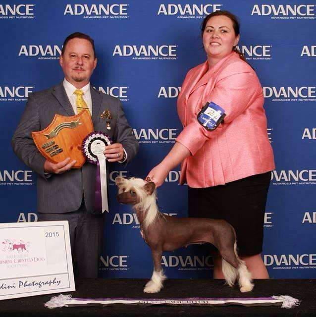 Poochiekoo U Bet Cha