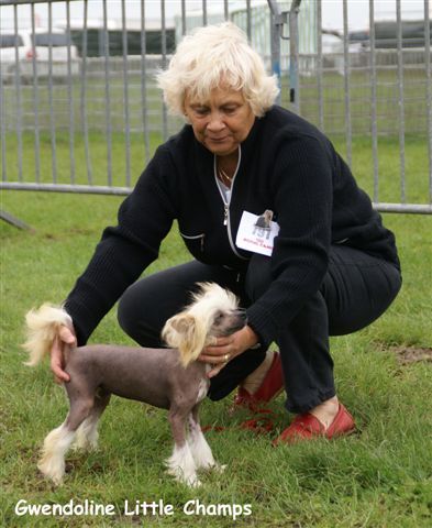 Gwendoline Little Champs